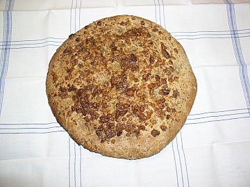 luciscak