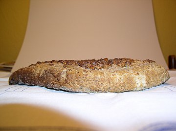 luciscak