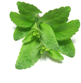 stevia list